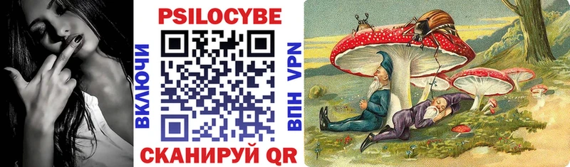 купить закладку  Ессентуки  Псилоцибиновые грибы Magic Shrooms 
