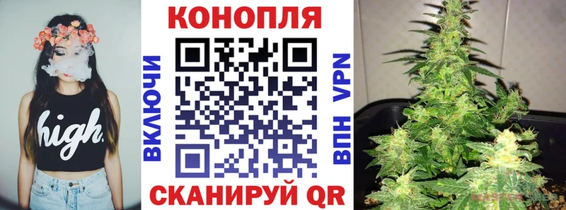 Марихуана VHQ  где можно купить наркотик  Ессентуки 